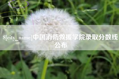 襄垣中国消防救援学院录取分数线公布