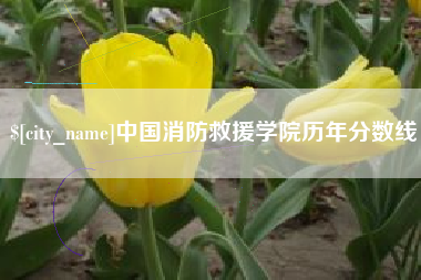 襄垣中国消防救援学院历年分数线