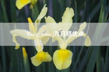 襄垣九宫格优点