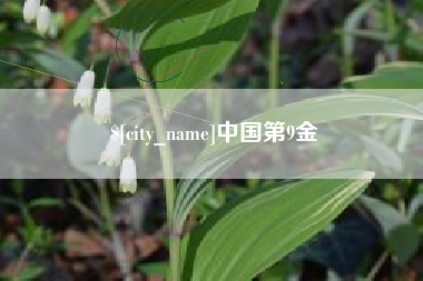 襄垣中国第9金