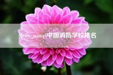 襄垣中国消防学校排名