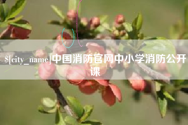 襄垣中国消防官网中小学消防公开课