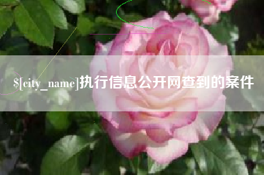 襄垣执行信息公开网查到的案件