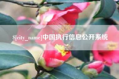 襄垣中国执行信息公开系统