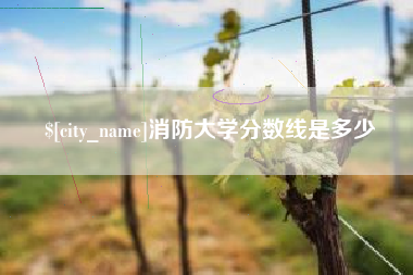 襄垣消防大学分数线是多少