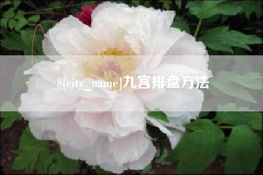 襄垣九宫排盘方法