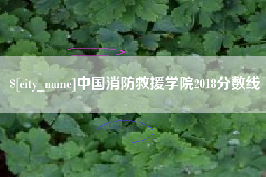 襄垣中国消防救援学院2018分数线