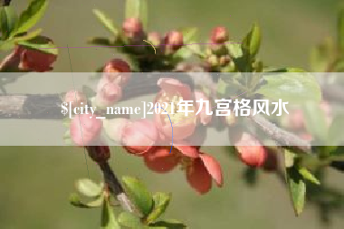 襄垣2021年九宫格风水