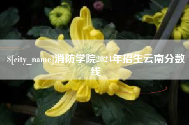 襄垣消防学院2024年招生云南分数线