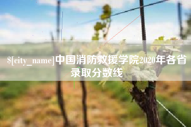 襄垣中国消防救援学院2020年各省录取分数线