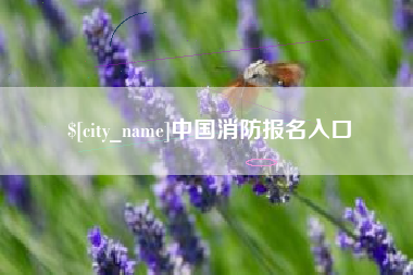 襄垣中国消防报名入口