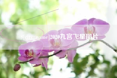 襄垣2020九宫飞星图片