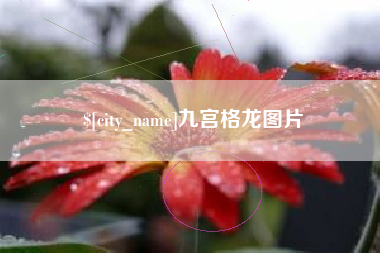 襄垣九宫格龙图片