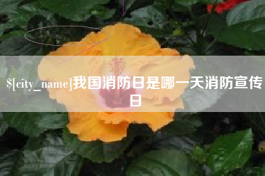 襄垣我国消防日是哪一天消防宣传日