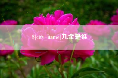 襄垣九金是谁