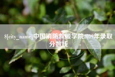 襄垣中国消防救援学院2019年录取分数线