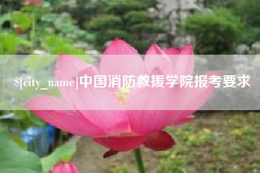 襄垣中国消防救援学院报考要求