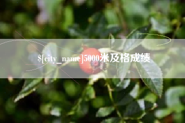 襄垣5000米及格成绩