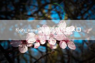 襄垣国家消防报名入口