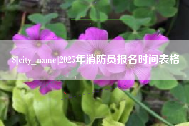 襄垣2025年消防员报名时间表格