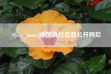襄垣中国执行信息公开网后