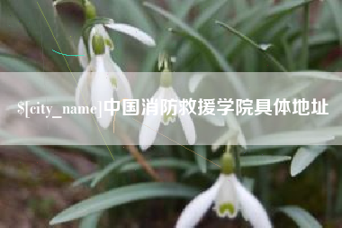 襄垣中国消防救援学院具体地址