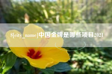 襄垣中国金牌是哪些项目2021