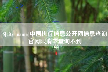 襄垣中国执行信息公开网信息查询官网限消中查询不到