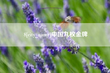 襄垣中国九枚金牌