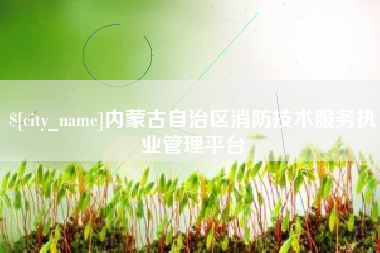 襄垣内蒙古自治区消防技术服务执业管理平台