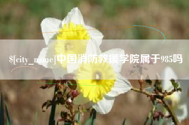 襄垣中国消防救援学院属于985吗