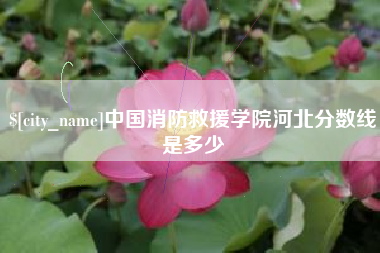 襄垣中国消防救援学院河北分数线是多少