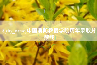 襄垣中国消防救援学院历年录取分数线