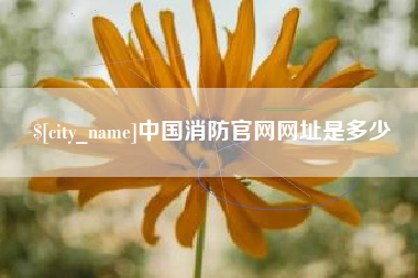 襄垣中国消防官网网址是多少