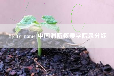襄垣中国消防救援学院录分线