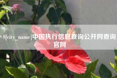 襄垣中国执行信息查询公开网查询官网