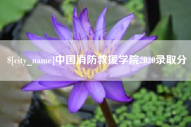襄垣中国消防救援学院2020录取分