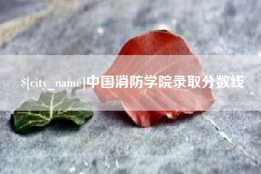襄垣中国消防学院录取分数线