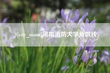 襄垣河南消防大学分数线