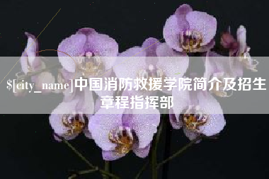 襄垣中国消防救援学院简介及招生章程指挥部
