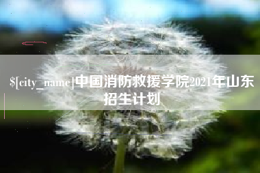 襄垣中国消防救援学院2021年山东招生计划