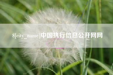 襄垣中国执行信息公开网网