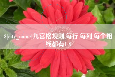 襄垣九宫格规则,每行,每列,每个粗线都有1-9