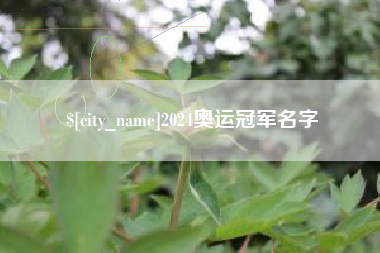 襄垣2024奥运冠军名字