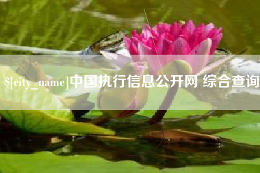 襄垣中国执行信息公开网 综合查询