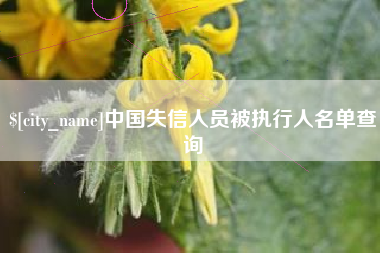 襄垣中国失信人员被执行人名单查询