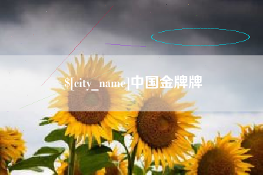 襄垣中国金牌牌