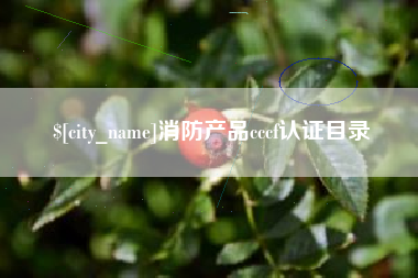 襄垣消防产品cccf认证目录