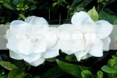 襄垣现在中国金牌是多少