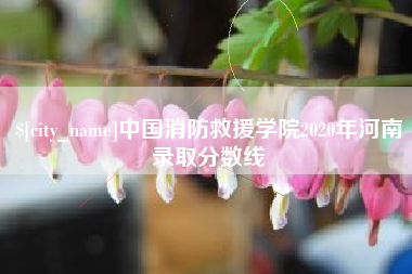 襄垣中国消防救援学院2020年河南录取分数线